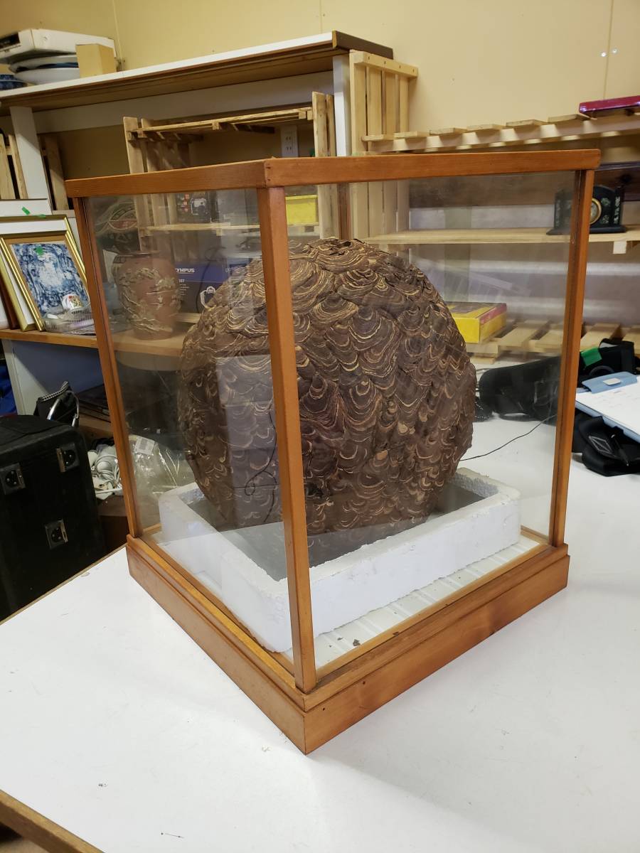 ☆インテリア☆置物☆飾り物☆オブジェ☆雀蜂の巣☆中古品☆(置物 
