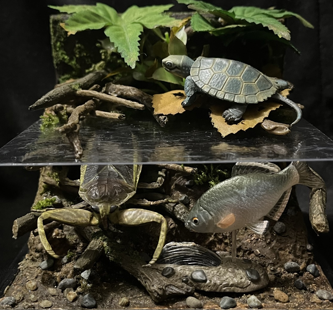 水辺の風景ジオラマ クサガメ 動物完成品 クサガメフィギュア 動物フィギュア用ジオラマ】里山の風景～タガメが棲む水辺☆タガメ