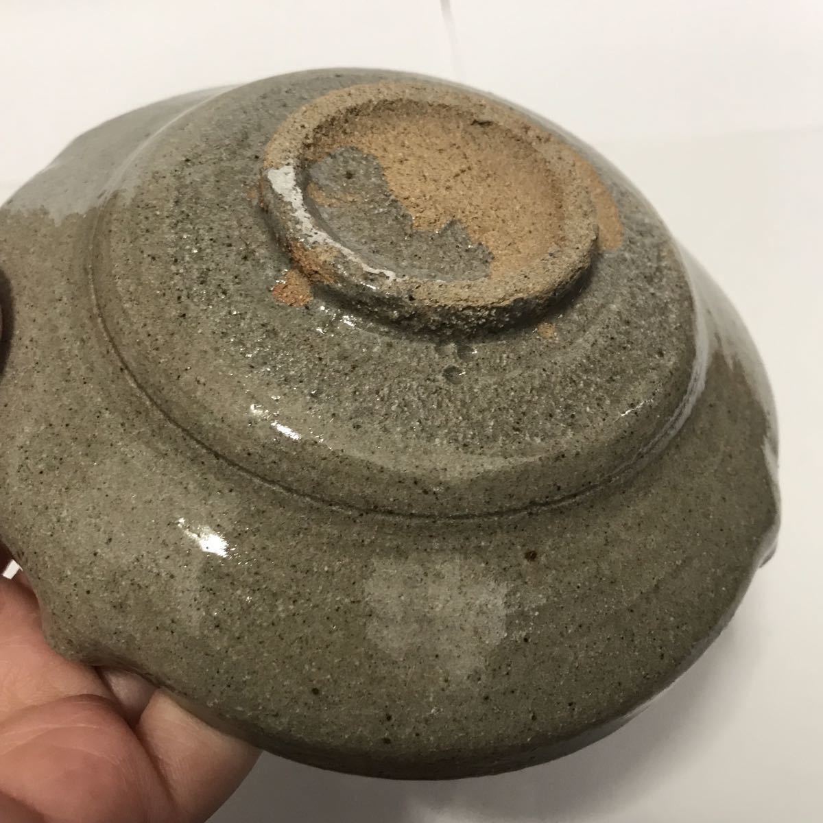 十三代 中里太郎右衛門 絵唐津草花文 銘々皿 / 平向付