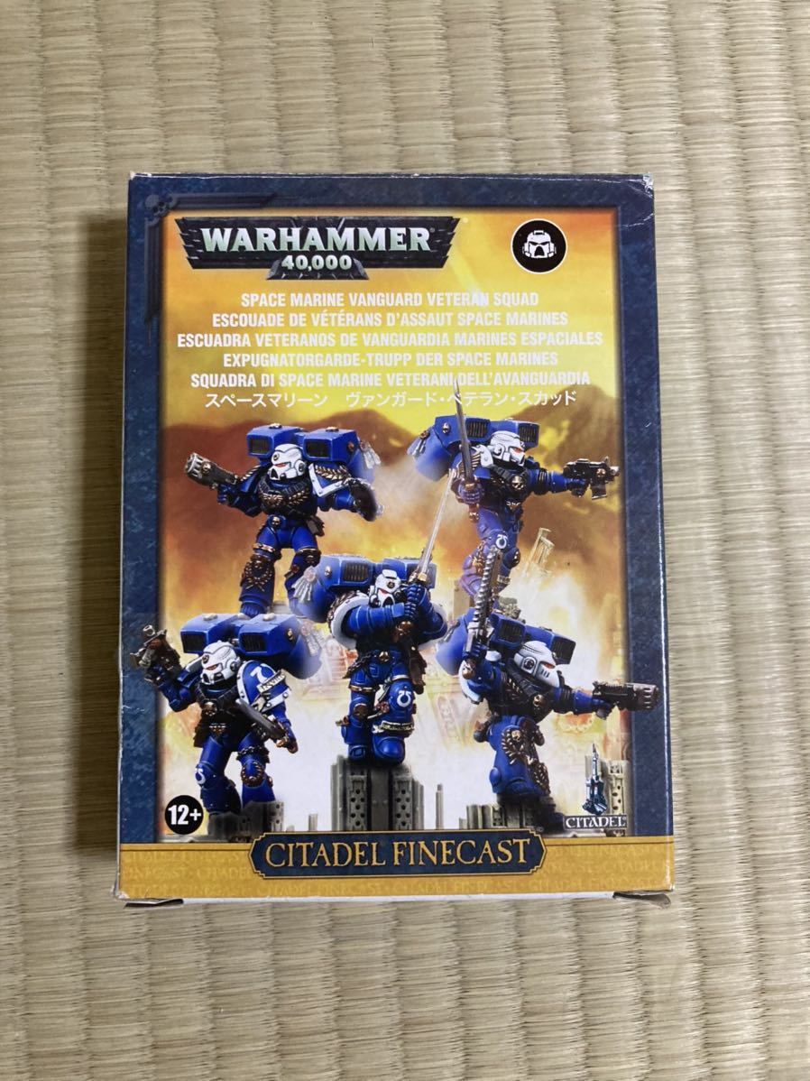 WARHAMMER ヴァンガードベテラン・スカッド (ウォーゲーム)｜売買され