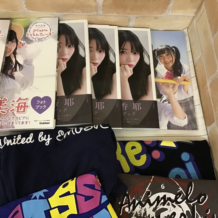 現状】 声優 グッズ まとめ売り 田中美海 奥野香耶 飯田里穂 写真集 T  
