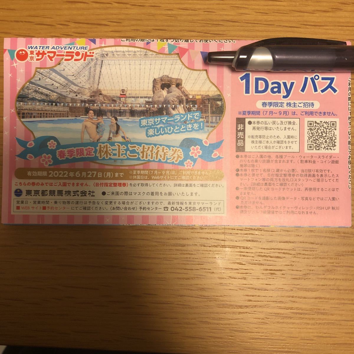 サマーランド1dayパス8枚綴り株主優待券×3枚