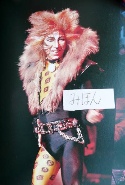 CATS　キャッツ劇団四季　額　レア 劇団四季キャッツCATS阿久津陽一郎荒川務木村花代沼尾パンフ写真
