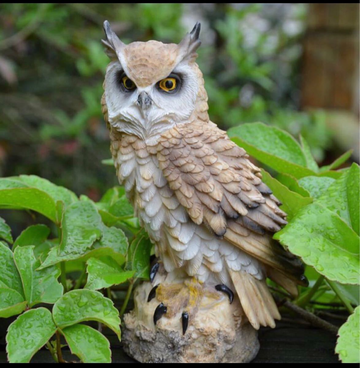 ふくろう 置物 鳥 フィギュア リアル ミミズク 置き物 彫刻 鳥 動物