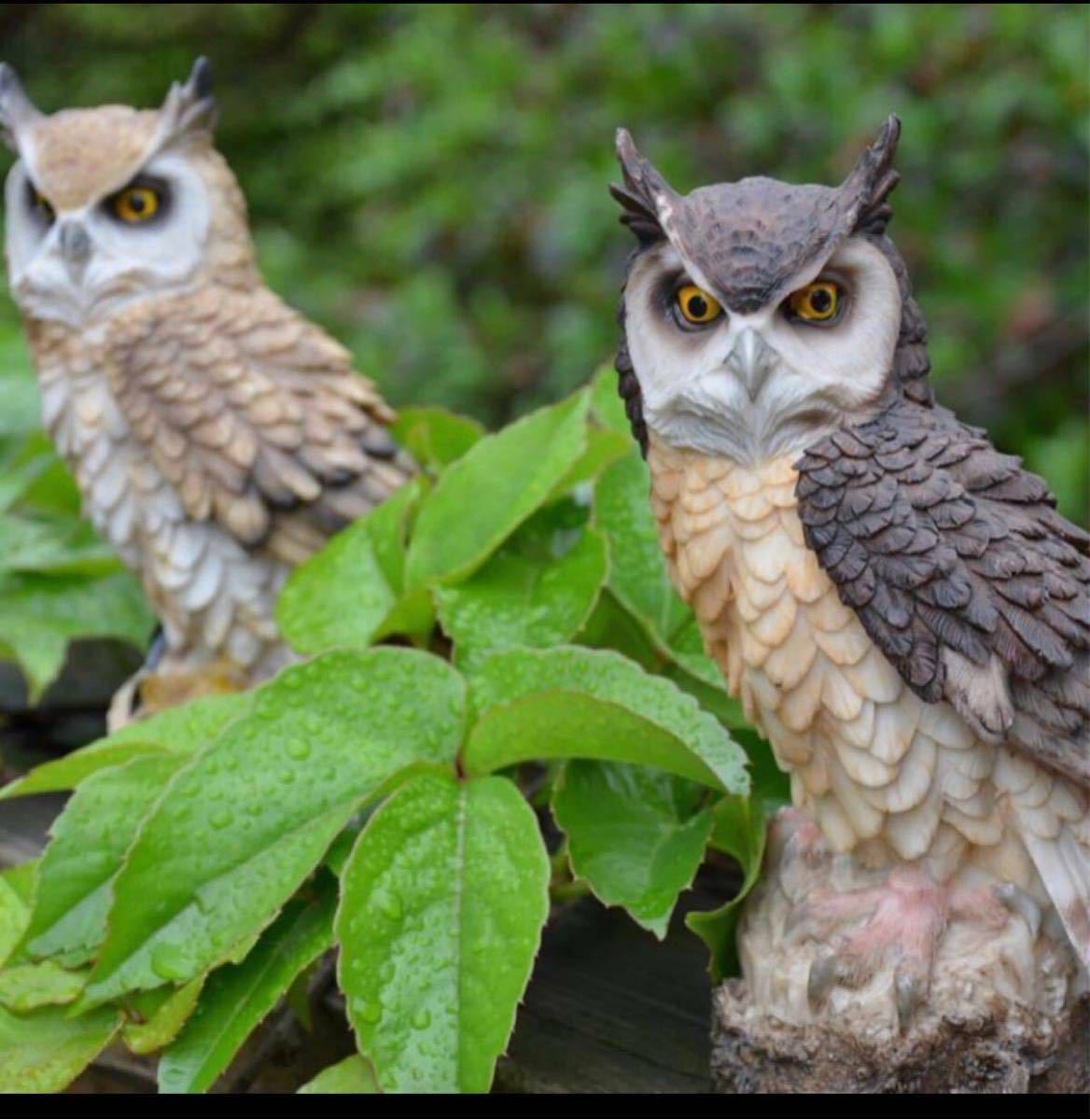 ふくろう 置物 鳥 フィギュア リアル ミミズク 置き物 彫刻 鳥 動物