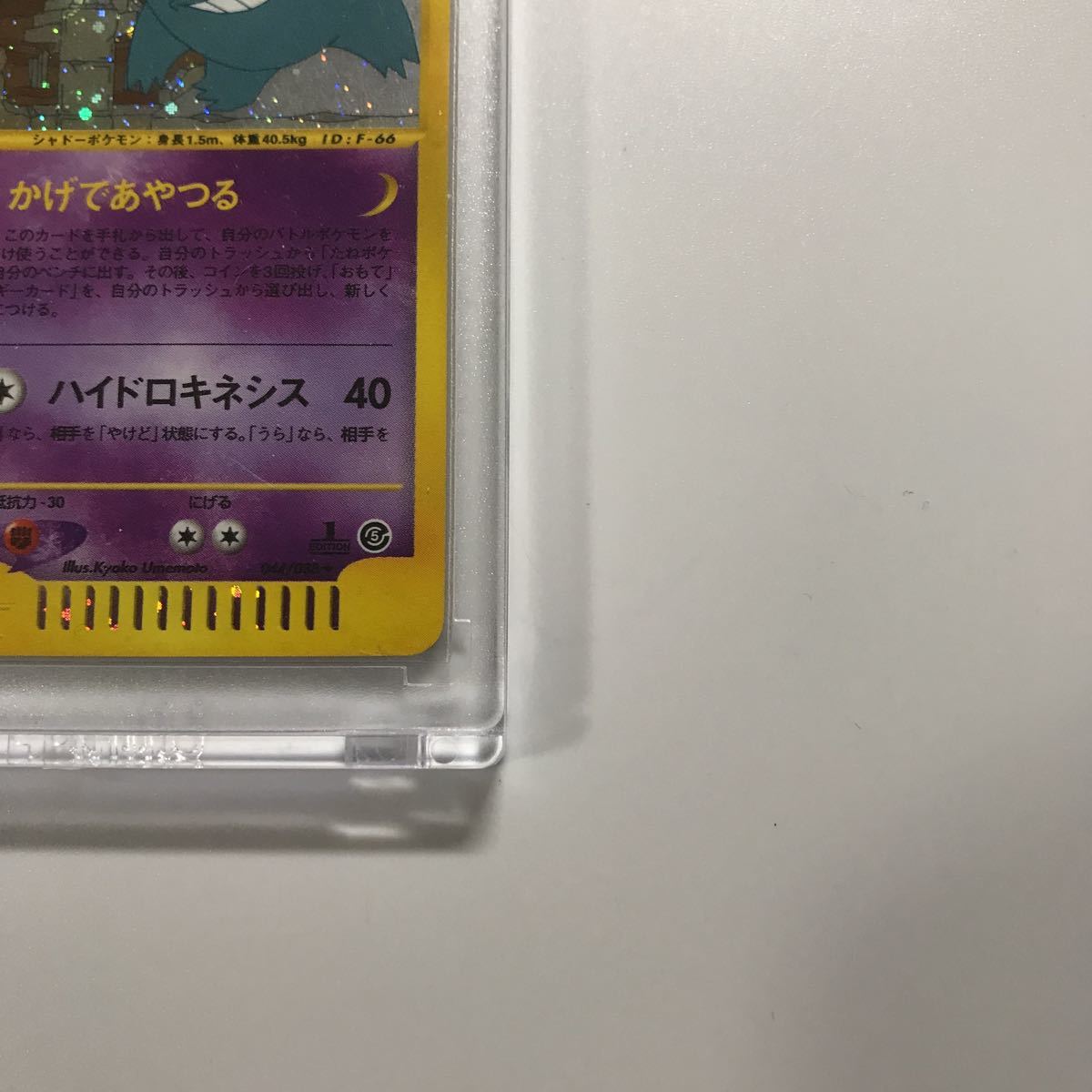 のため ヤフオク! - ポケモンカード e5 ゲンガー キラ 神秘な... して ...