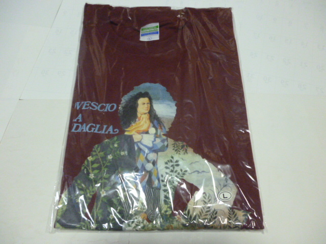 2013年来日Tシャツ☆希少 RDM ロヴェッショ・デッラ・メダーリャIl