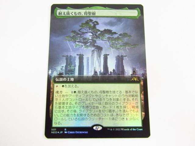 MTG 耐え抜くもの、母聖樹/Boseiju, Who Endures 拡張アート foil 日本