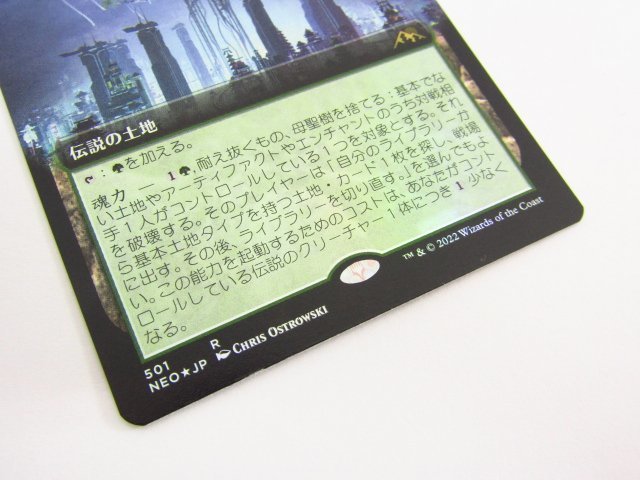 MTG 耐え抜くもの、母聖樹/Boseiju, Who Endures 拡張アート foil 日本 MTG 耐え抜くもの、母聖樹/Boseiju, Who Endures 拡張アート foil 日本