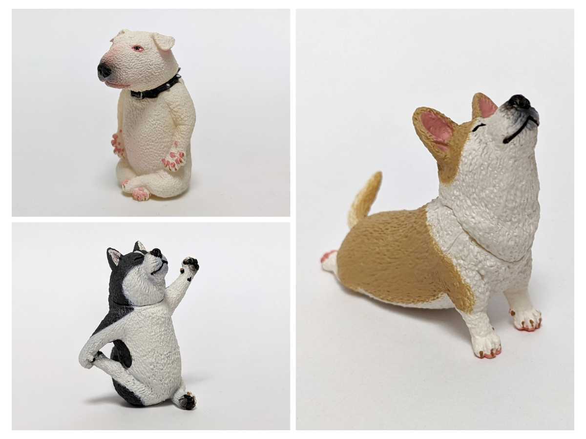 朝隈俊男 Baby Yoga Dog 3種セット べいびーよがどっぐ ヨガ アニマル