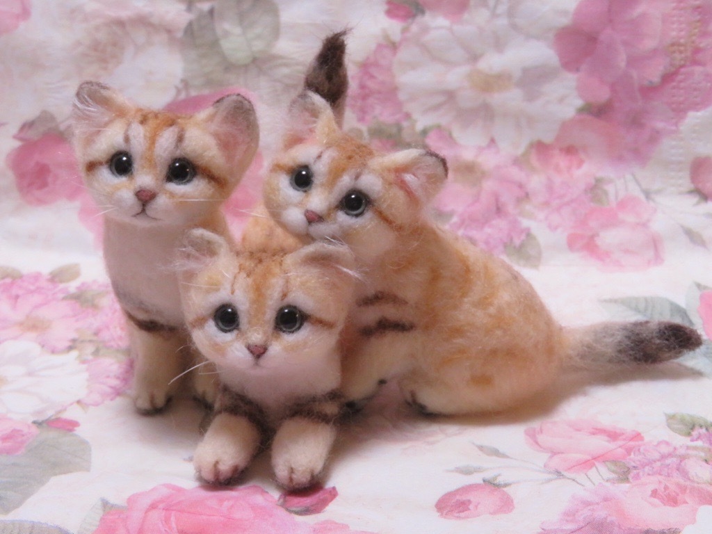 超格安一点 様 猫 おてて付き 羊毛フェルト 猫用品 Www Foundationchurchonline Org