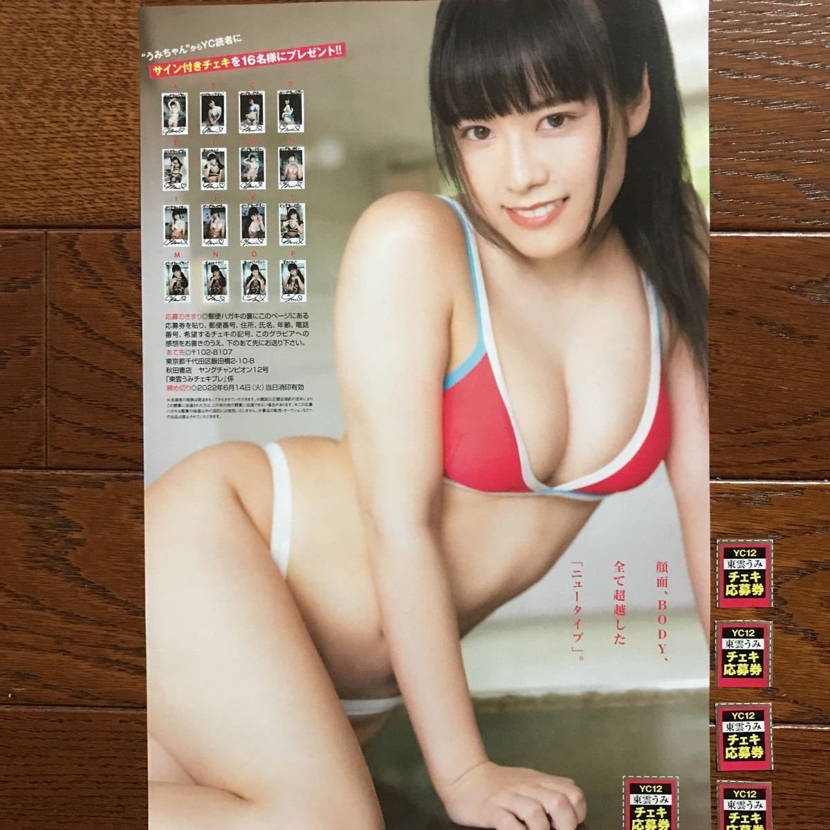 東雲うみ サインチェキ YC12号 東雲うみ サイン入りチェキ応募券5枚