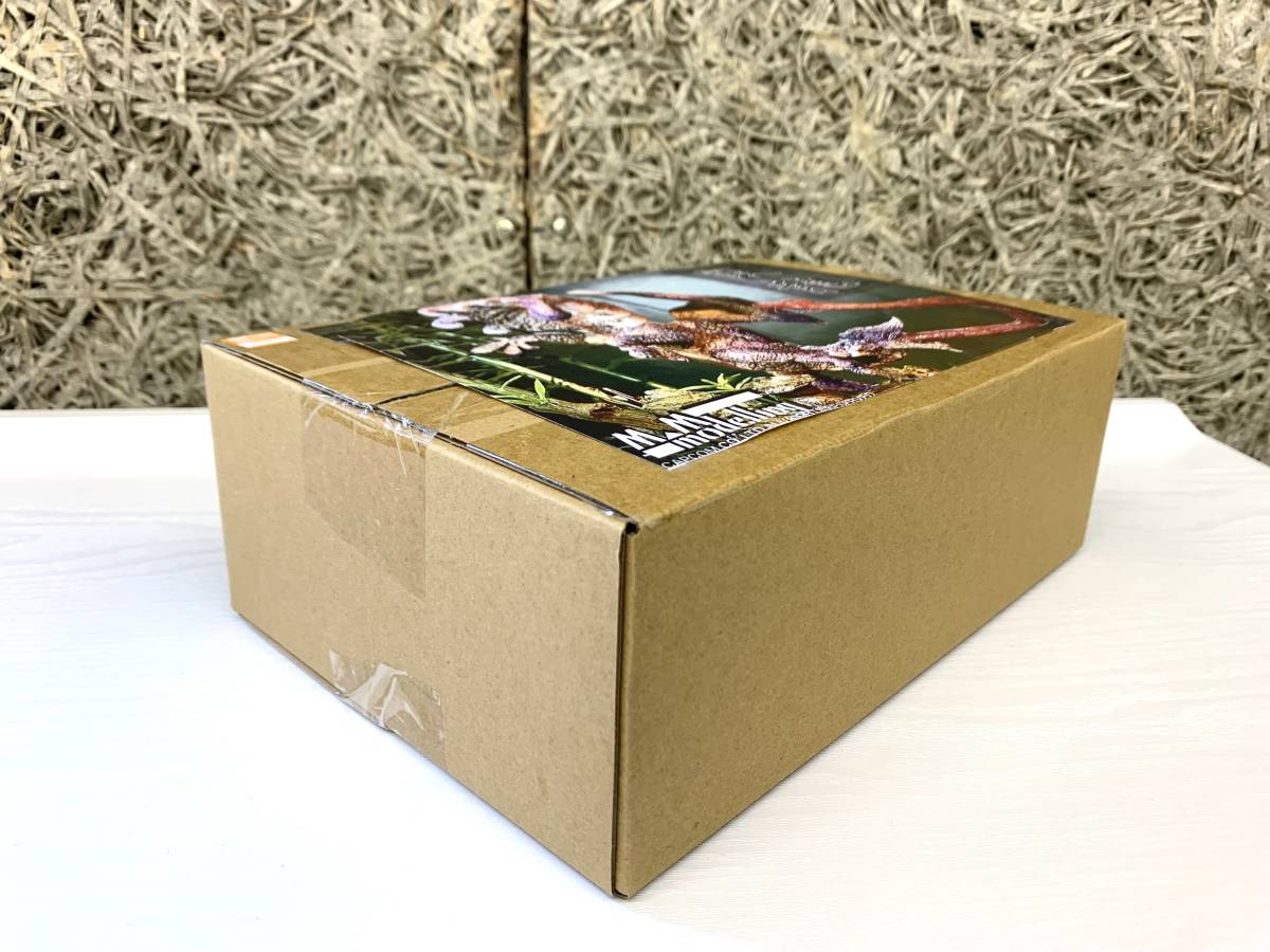 ☆CD☆[PHILIPS 24BIT 紙箱] アッカルド ロッシーニ：弦楽ソナタ（PHCP