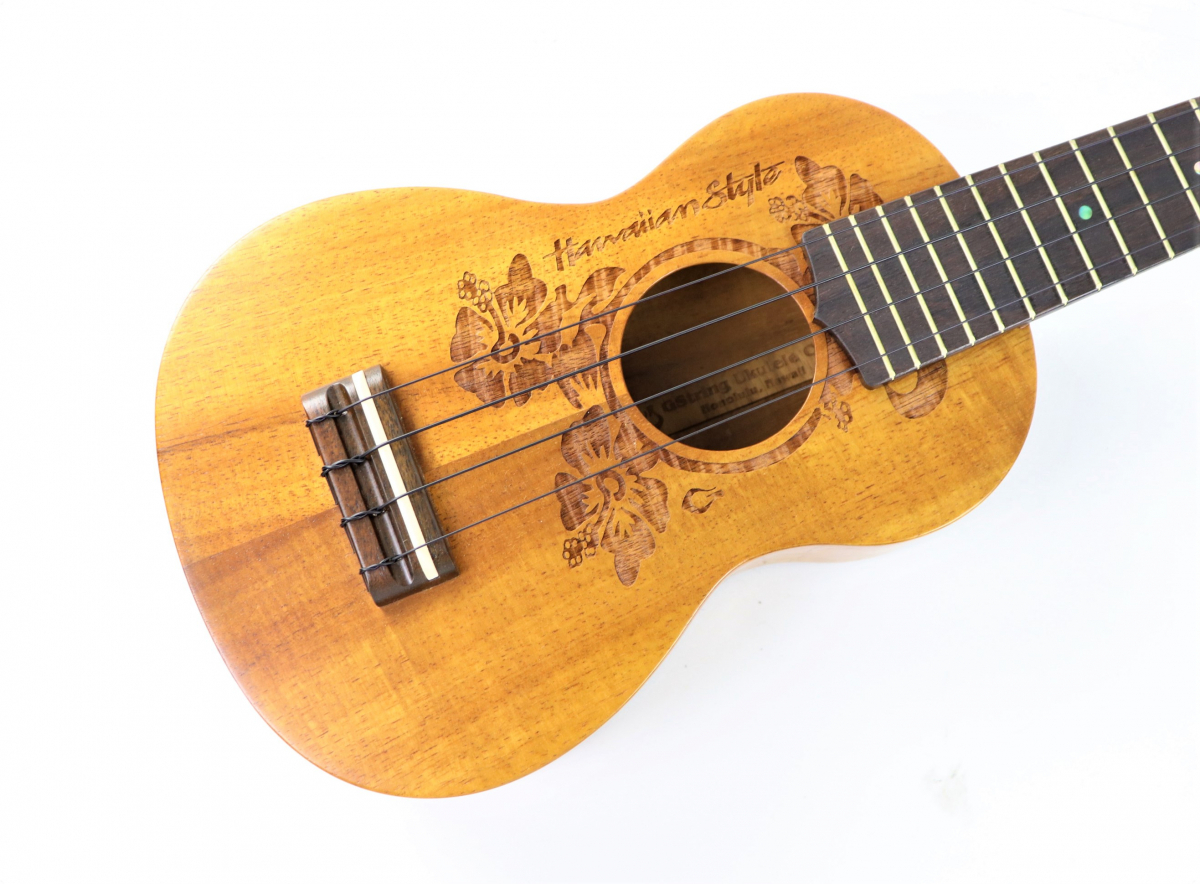 GString Ukulele ウクレレ ハードケース付 ハイビスカス 弦楽器 楽器 