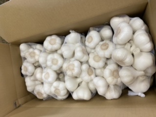 青森県 生にんにく5Kg L 新物②