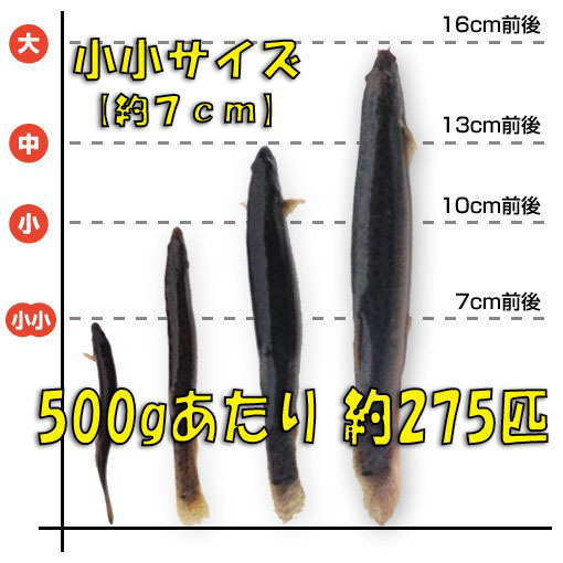 活どじょう 小小500g 約7cm 平均275匹 泥鰌 食用 活き餌 釣り餌 生餌 熱帯魚 古代魚のエサにはドジョウ えさ 川魚 淡水魚 ...