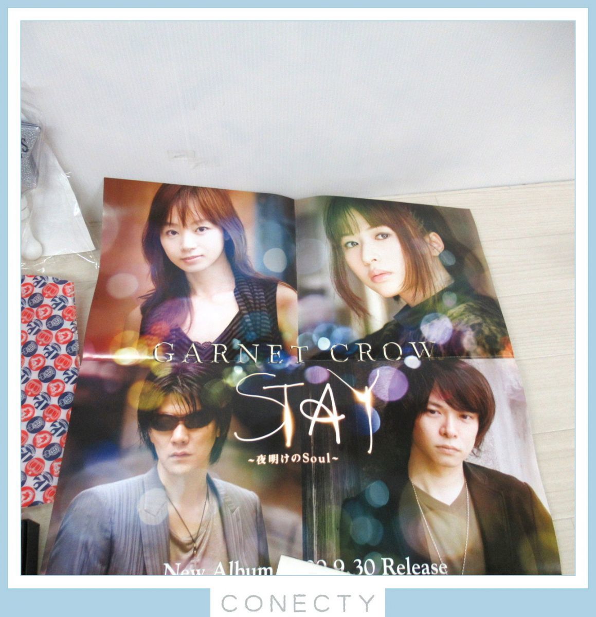 本日セール！GARNET CROW ライブパンフレット&写真集 6冊セット