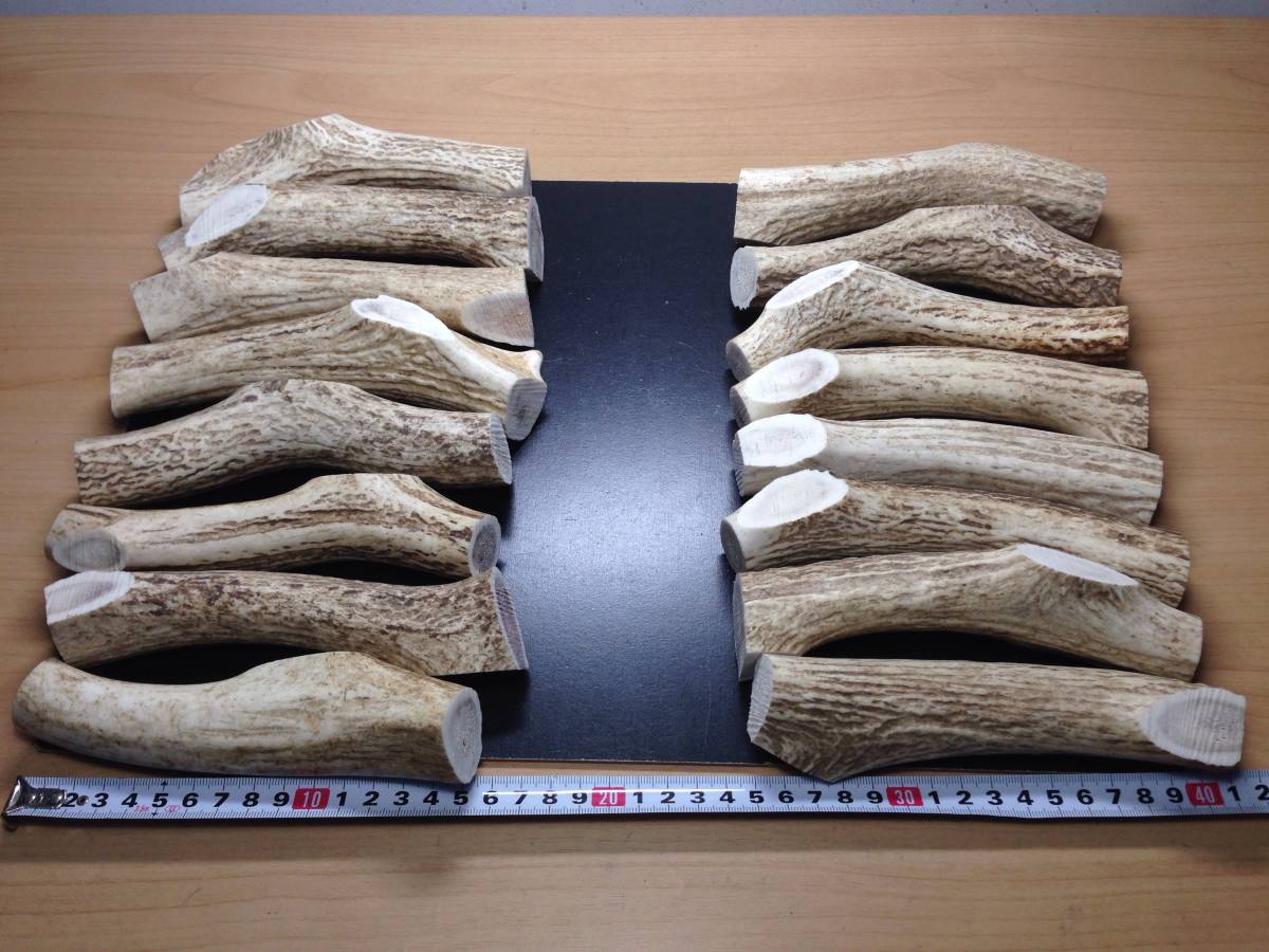 7-35＊中間角16点セット＊蝦夷鹿＊鹿角＊根付け＊鹿ノ角＊タモ