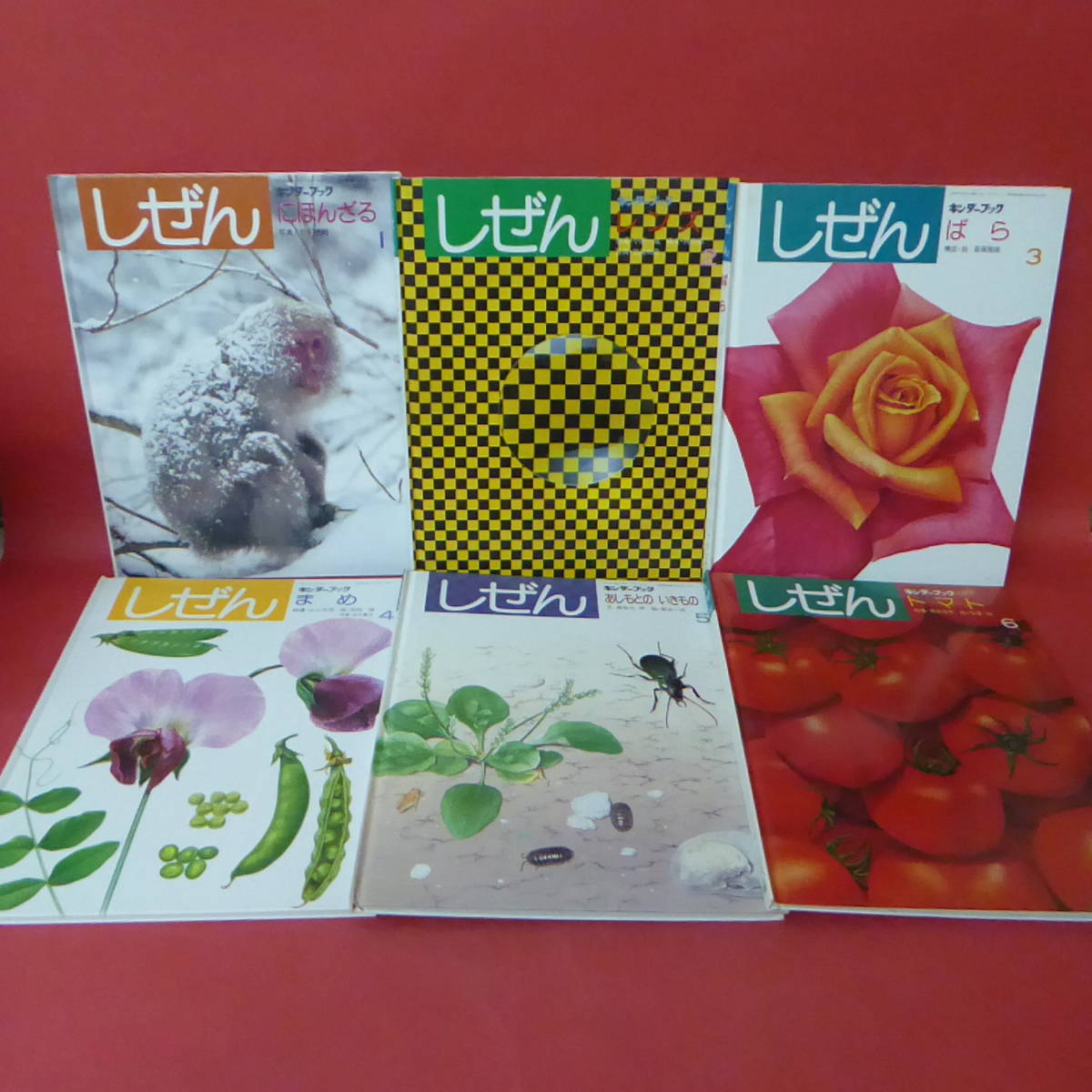 220721☆しぜん 全1-12巻 フレーベル館 キンダーブック(絵本一般 