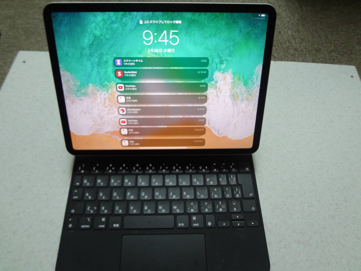 iPadPro 11”第2世代(2020) A2228 ジャンク