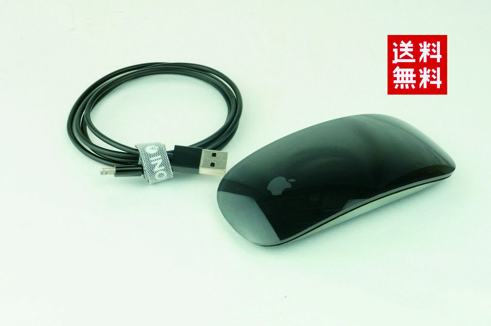 【高品質，新作】 / / Apple マジックマウス2 スペースグレイ 5K2207_50(マウス)｜売買されたオークション情報、yahooの商品情報をアーカイブ公開 - オークファン マウス