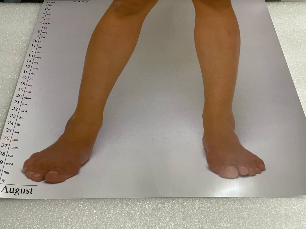 小池栄子 等身大ポスター 月刊アサヒ芸能エンタメ(か行)｜売買された