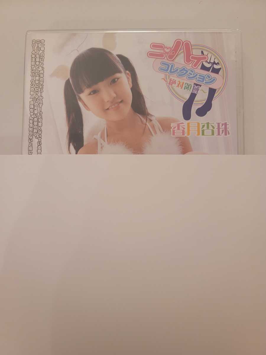 香月杏珠 ニーハイコレクション DVD 美品