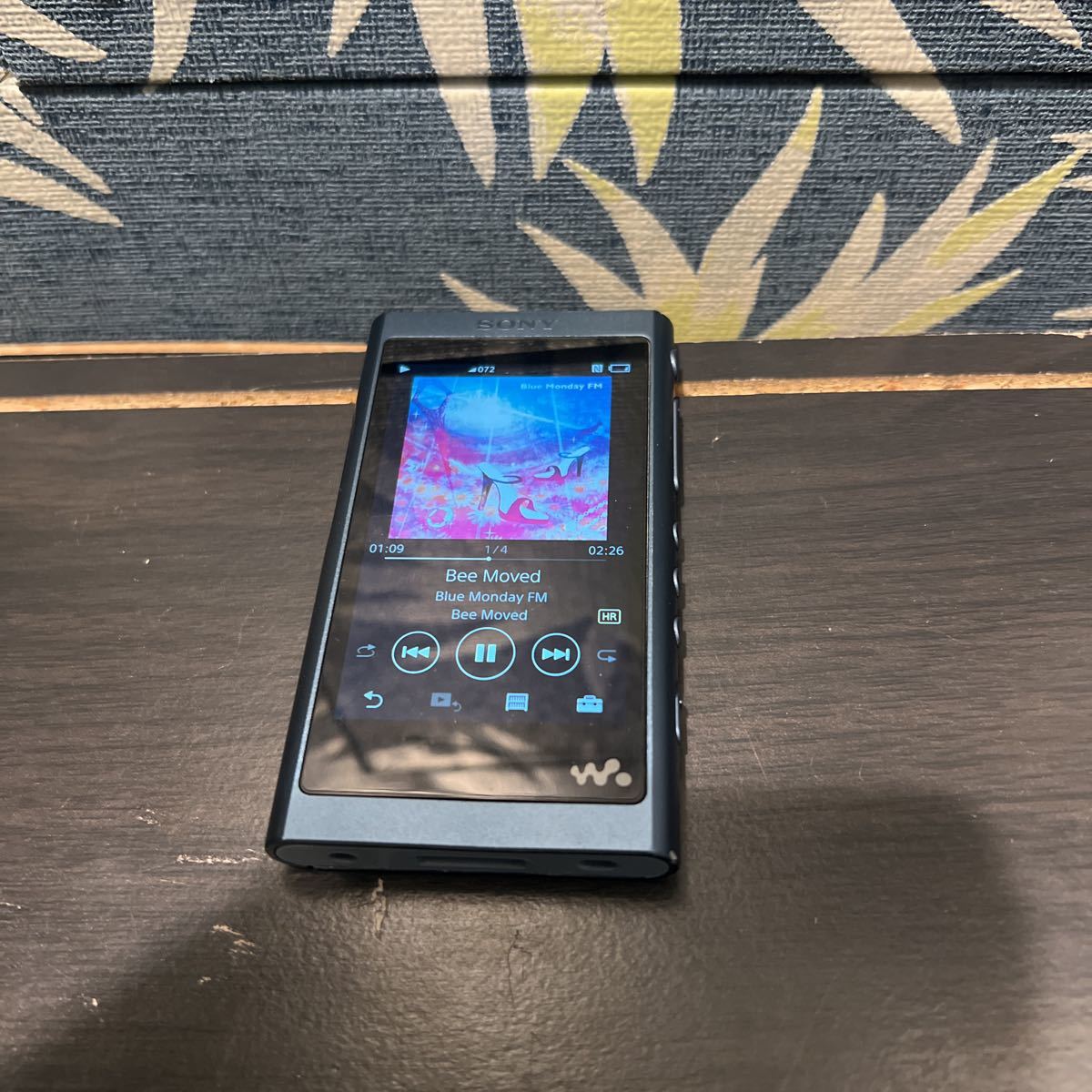 SONY デジタルミュージックプレーヤー NW-A55 【公式通販】 SONY