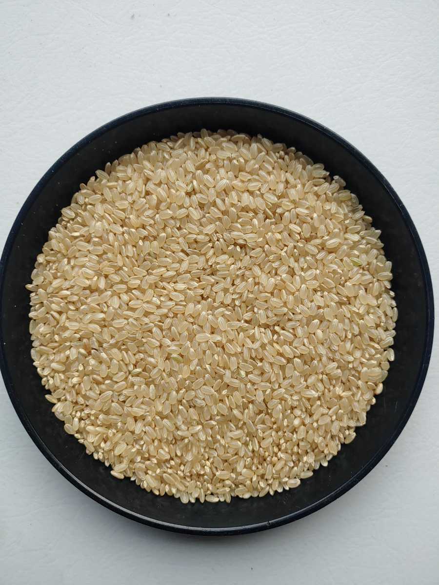 雪若丸20kg1等玄米！山形県ブランド米!農家直送！数量限定！