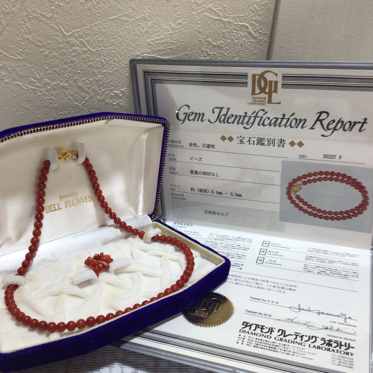 宝石鑑別書付き】天然赤さんご 珊瑚 クラスプSILVER刻印 赤色 さんご 