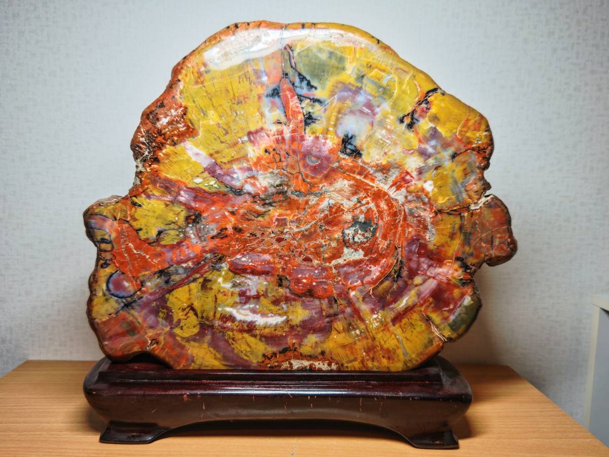 アリゾナ】◇13kg◇ 珪化木 ジャスパー 原石 碧玉 風水 開運 誕生石  