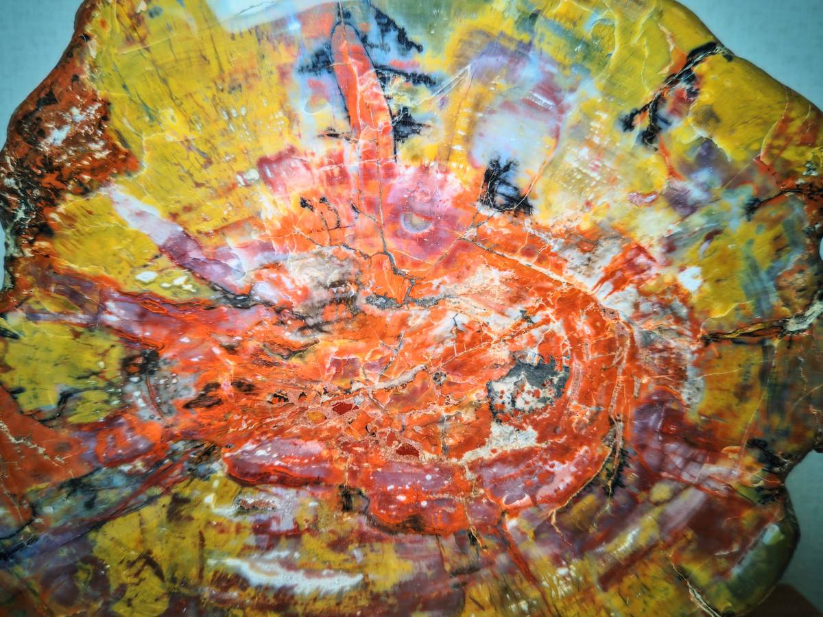 アリゾナ】◇13kg◇ 珪化木 ジャスパー 原石 碧玉 風水 開運 誕生石  