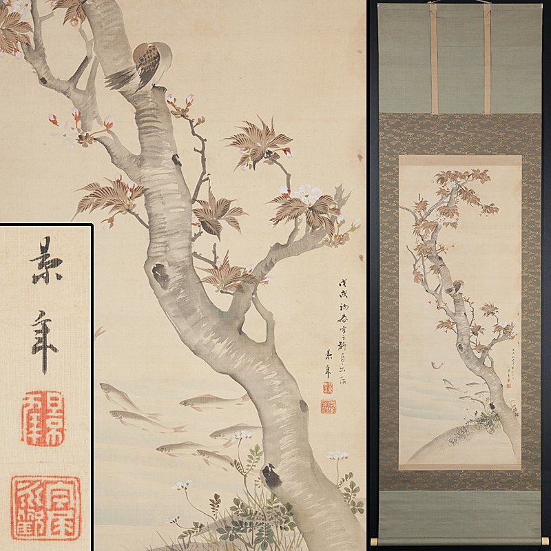 絹本 掛軸 - 彩色 共箱 H95M01［真作］今井景樹「寒牡丹雀図」掛軸