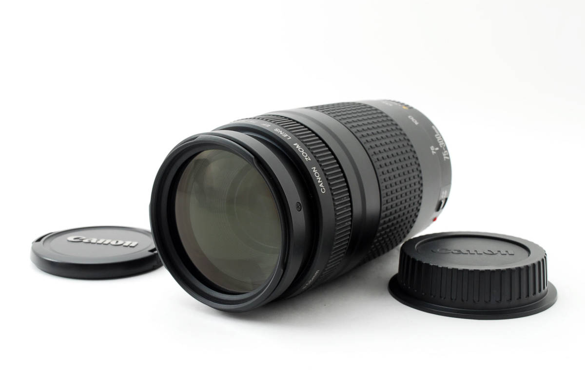 Canon Zoom EF 75-300mm f4-5.6 II Lens #984 Canon Lens EF lens