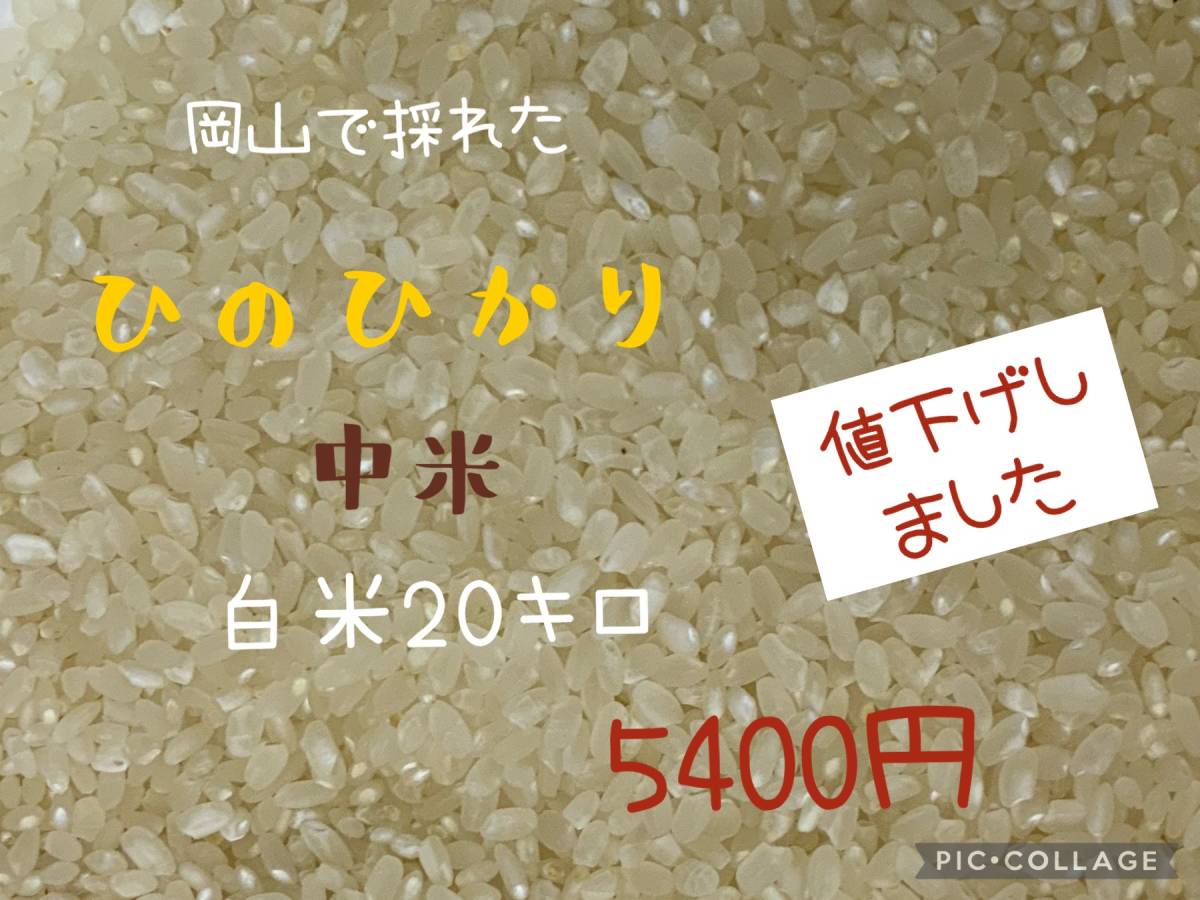 ヒノヒカリ ひのひかり 5kg」の人気商品一覧 | 安い商品を通販サイト 