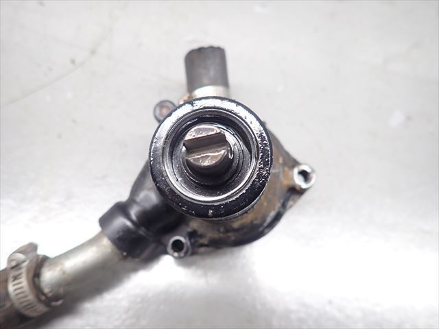 εDB05-81 ホンダ VT250F MC08 (S57年式) エンジン ウォーターポンプ 破損無し！