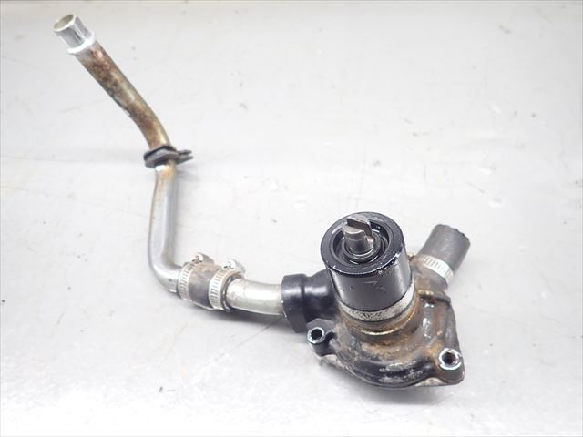 εDB05-81 ホンダ VT250F MC08 (S57年式) エンジン ウォーターポンプ 破損無し！
