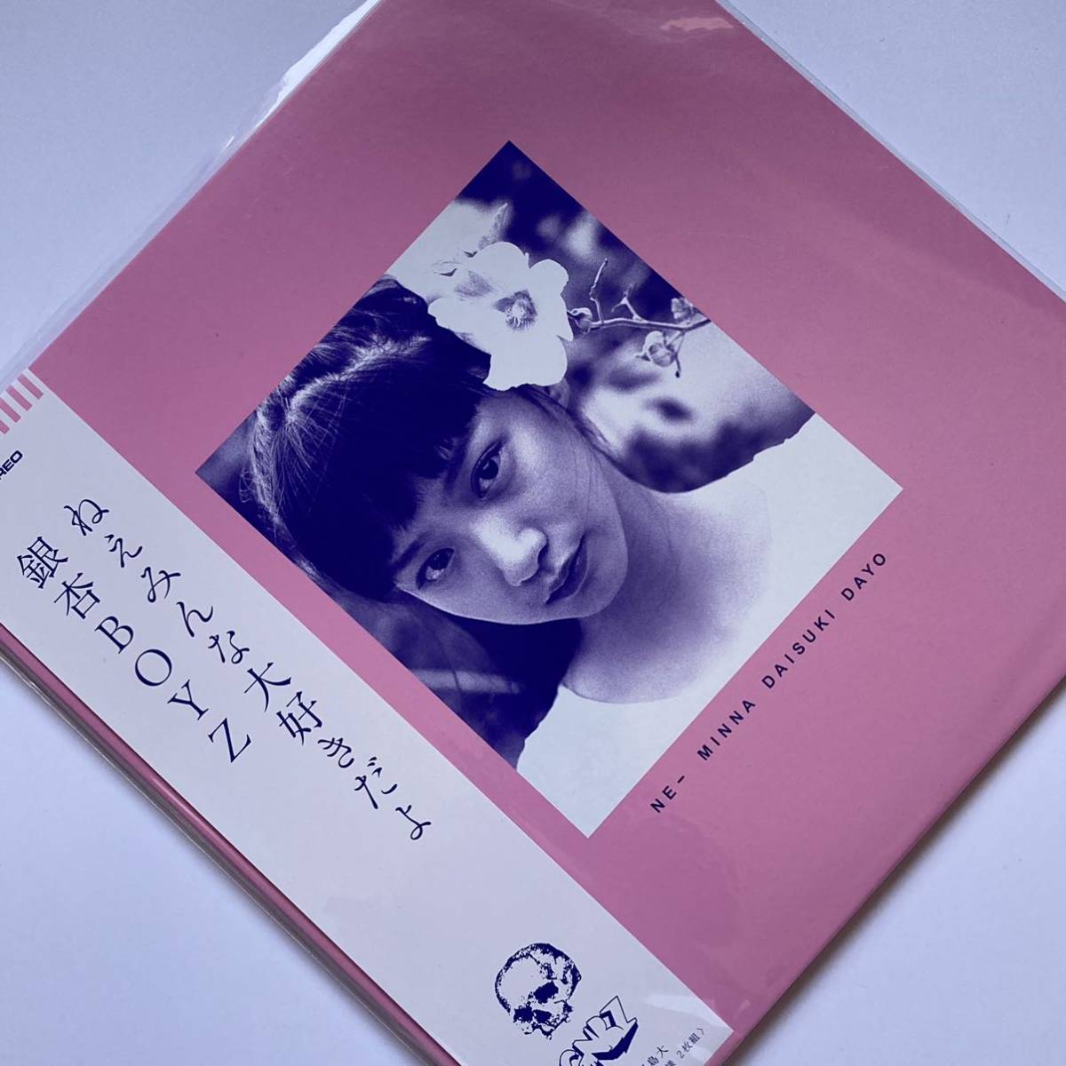 ☆新品未開封☆LPレコード【 銀杏BOYZ/ねえみんな大好きだよ＜RECORD 