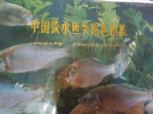 水生生物の値段と価格推移は 21件の売買情報を集計した水生生物の価格や価値の推移データを公開