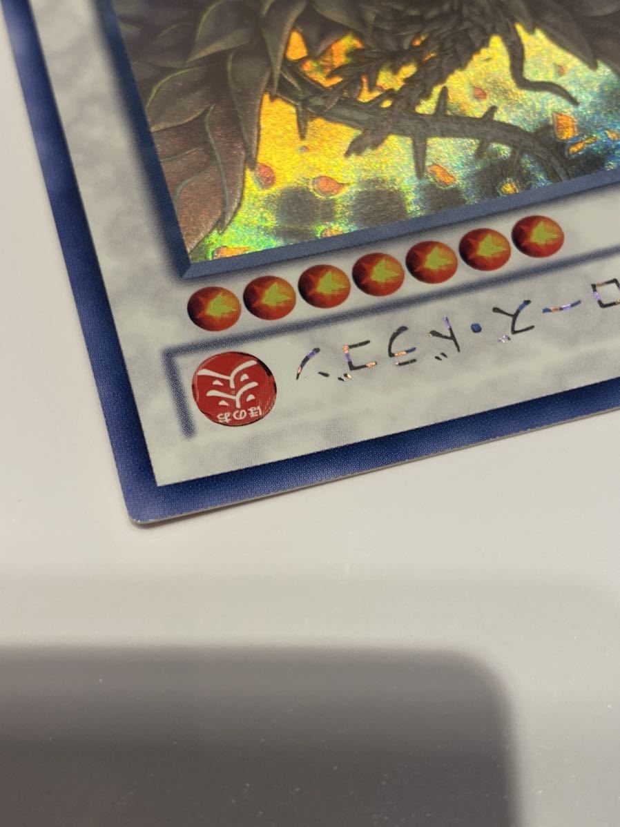 遊戯王 ブラックローズドラゴン ホロ ホログラフィックレア