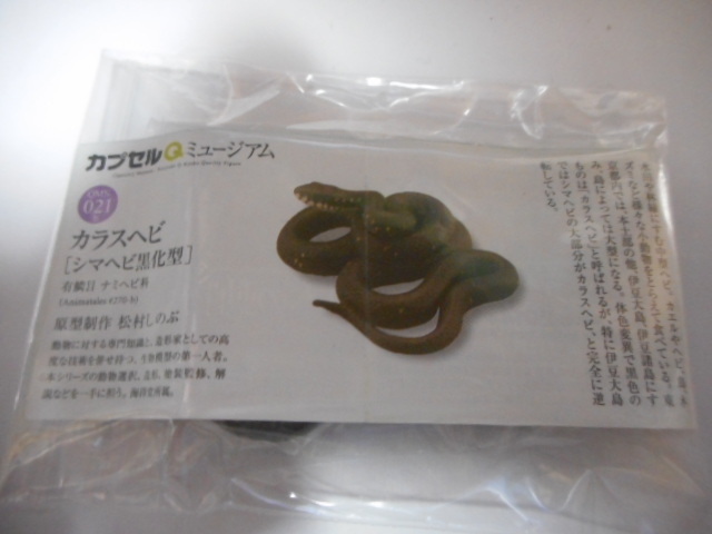 シマヘビ黒化型の値段と価格推移は 2件の売買情報を集計したシマヘビ黒化型の価格や価値の推移データを公開