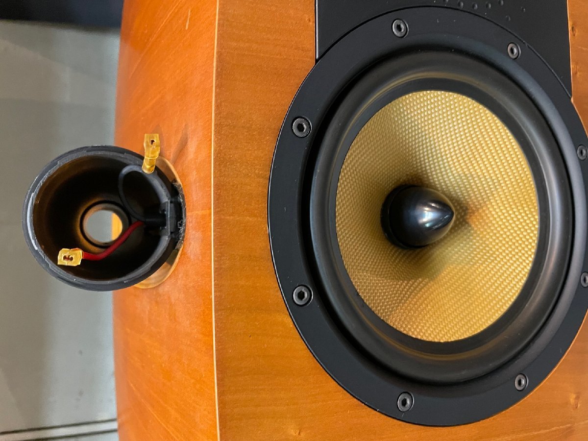 ジャンク品 B&W Bowers & Wilkins Nautilus HTM2 センタースピーカー