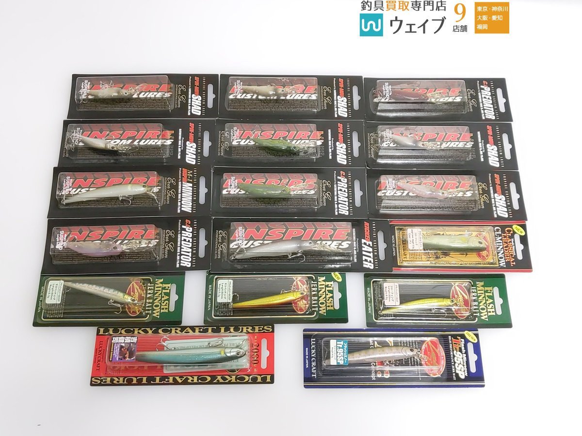 新品未使用品エバーグリーン3タイプ 5セット エバーグリーン D
