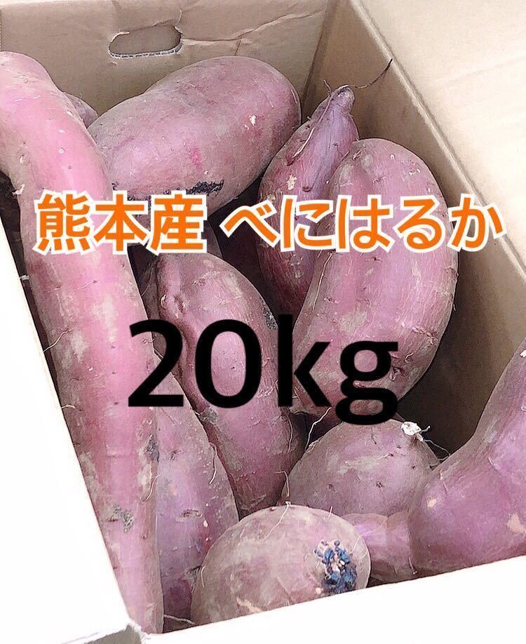 紅はるか 熊本 家庭用20kg② 【公式通販】