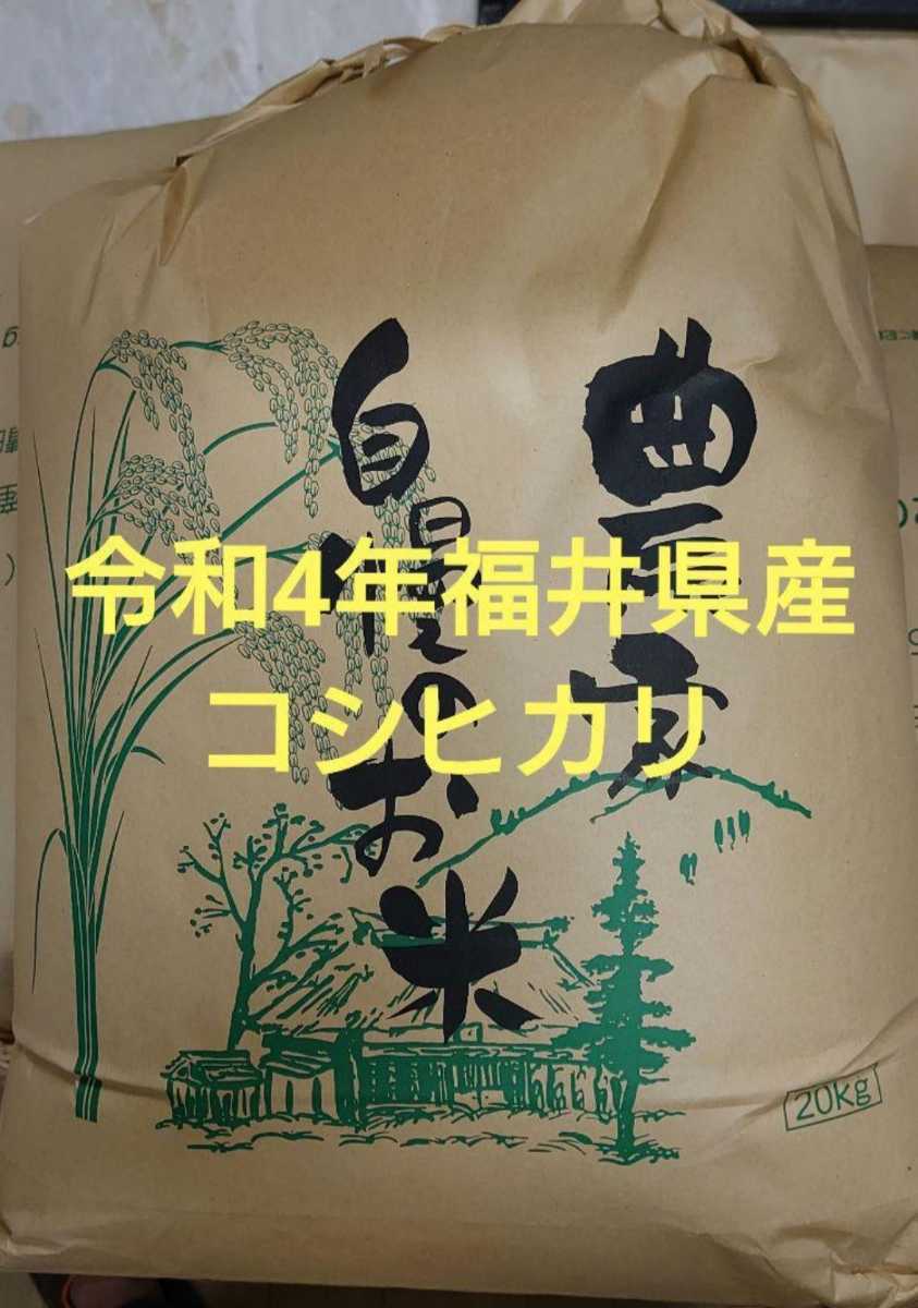 令和5年産 福井県越前市産コシヒカリ 玄米20キロ 令和5年】福井県産