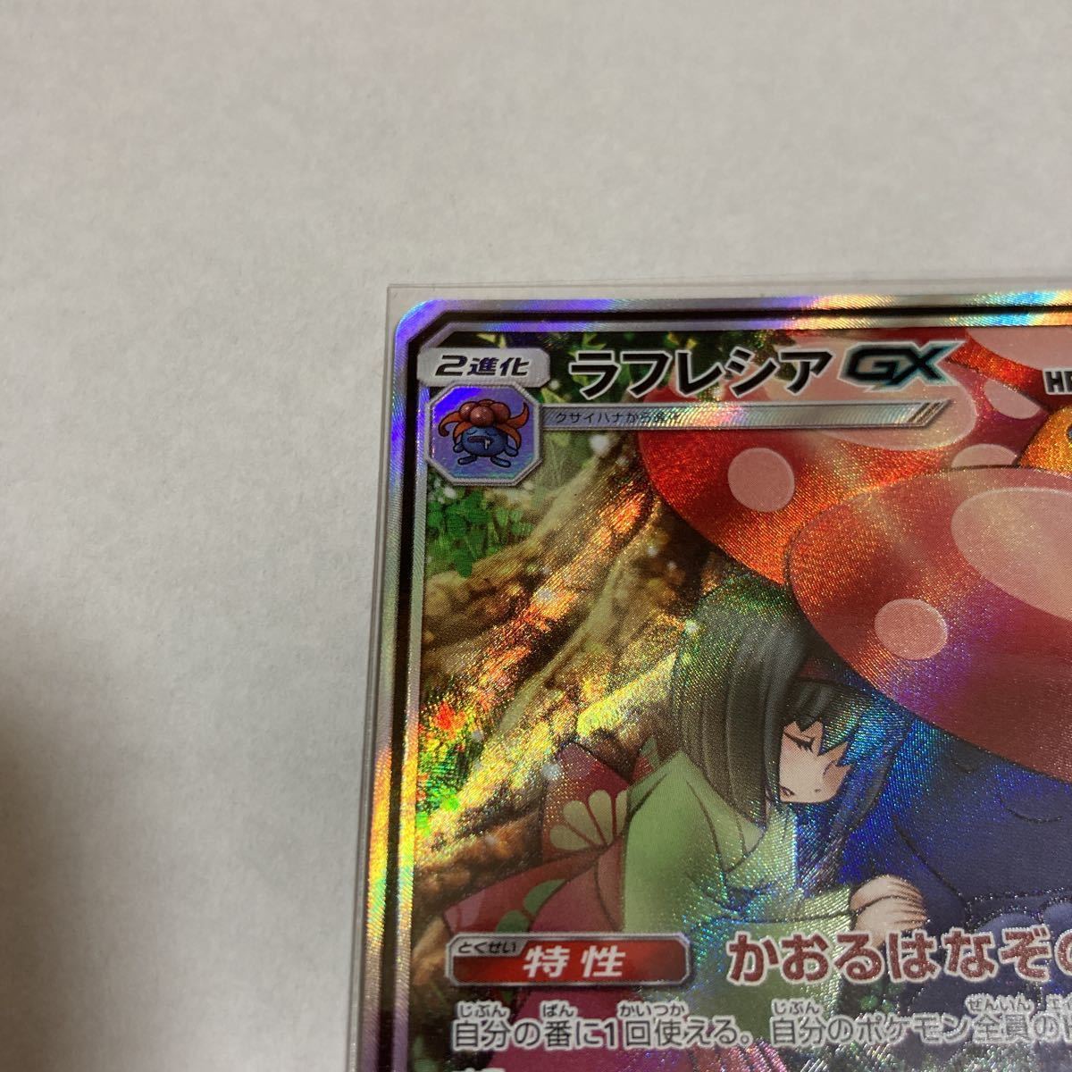 ラフレシアGX SR スーパーレア SA スペシャルアート sm11b ドリーム
