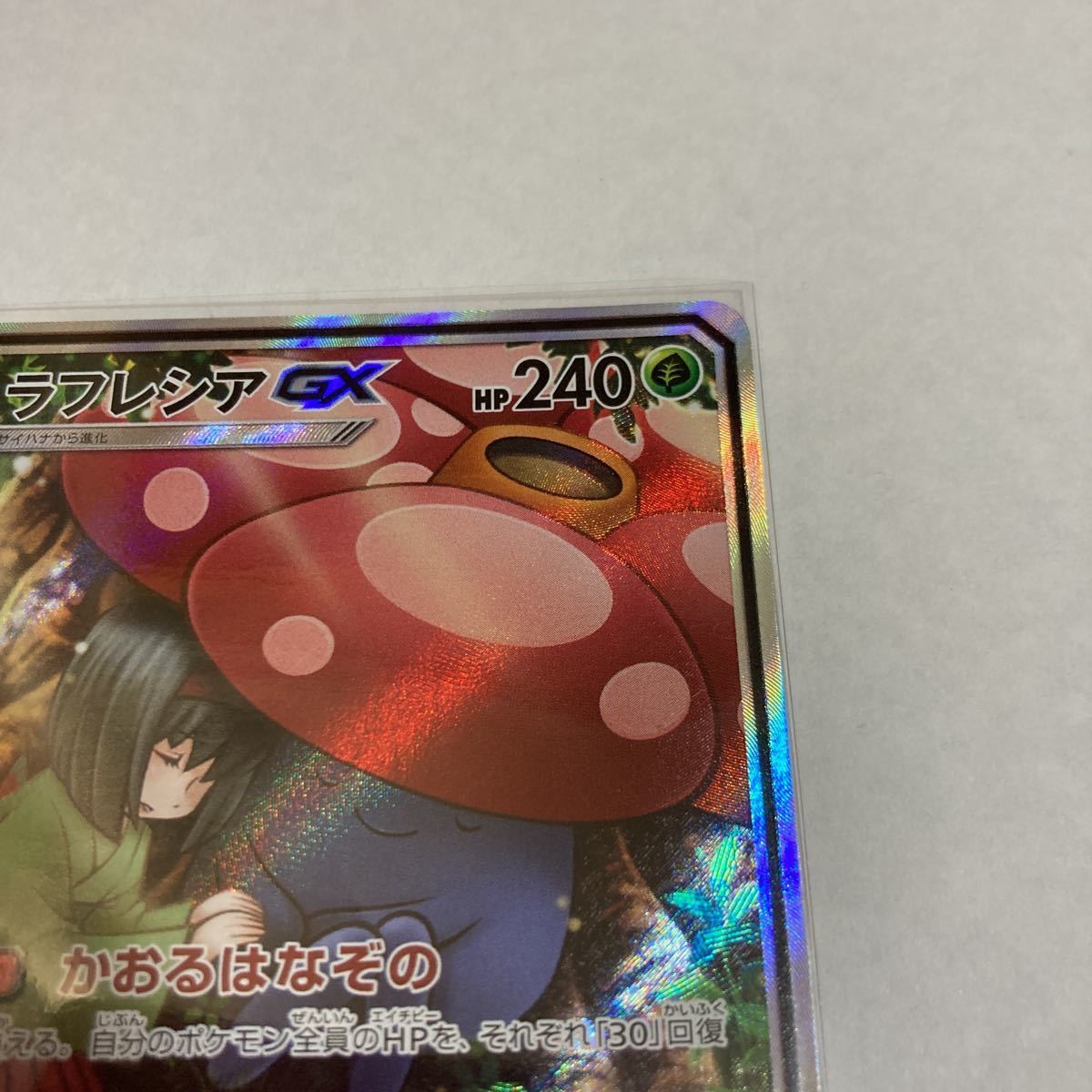 ラフレシアGX SR スーパーレア SA スペシャルアート sm11b ドリーム