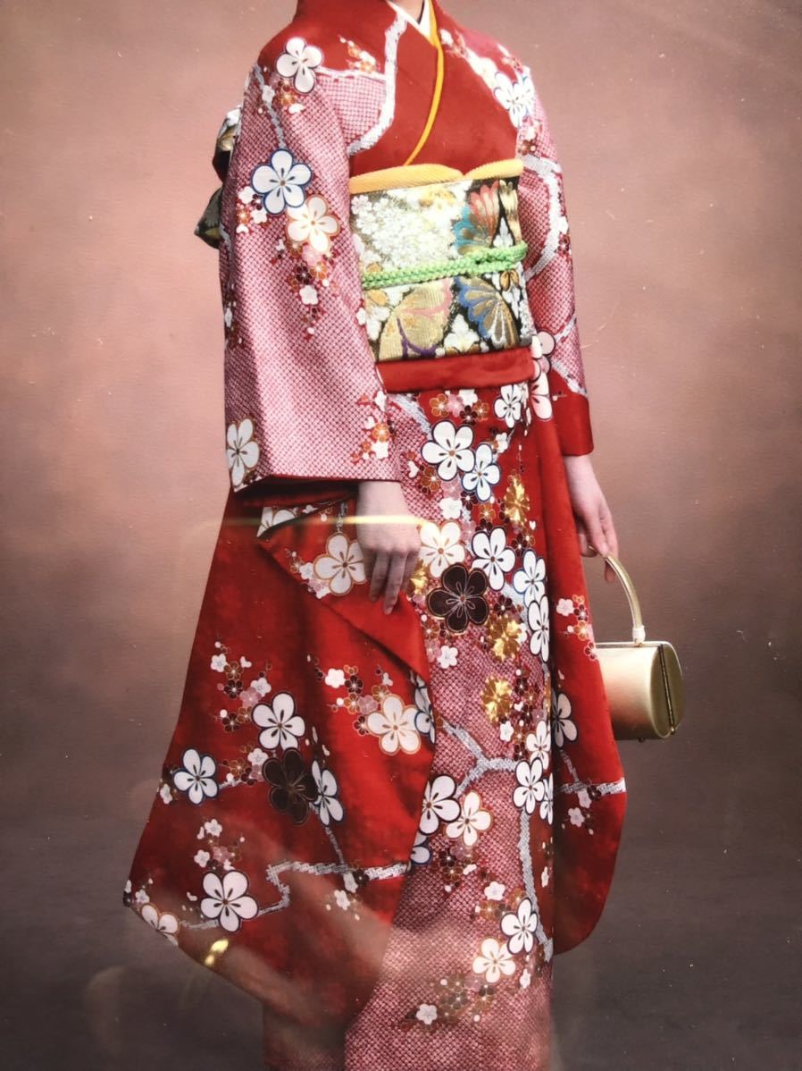 花美人着物□豪華振袖 逸品 暈し染め 金彩 駒刺繍 舞桜 銀通し地 花美人着物□豪華振袖 逸品 暈し染め 金彩 駒刺繍 舞桜 銀通し地