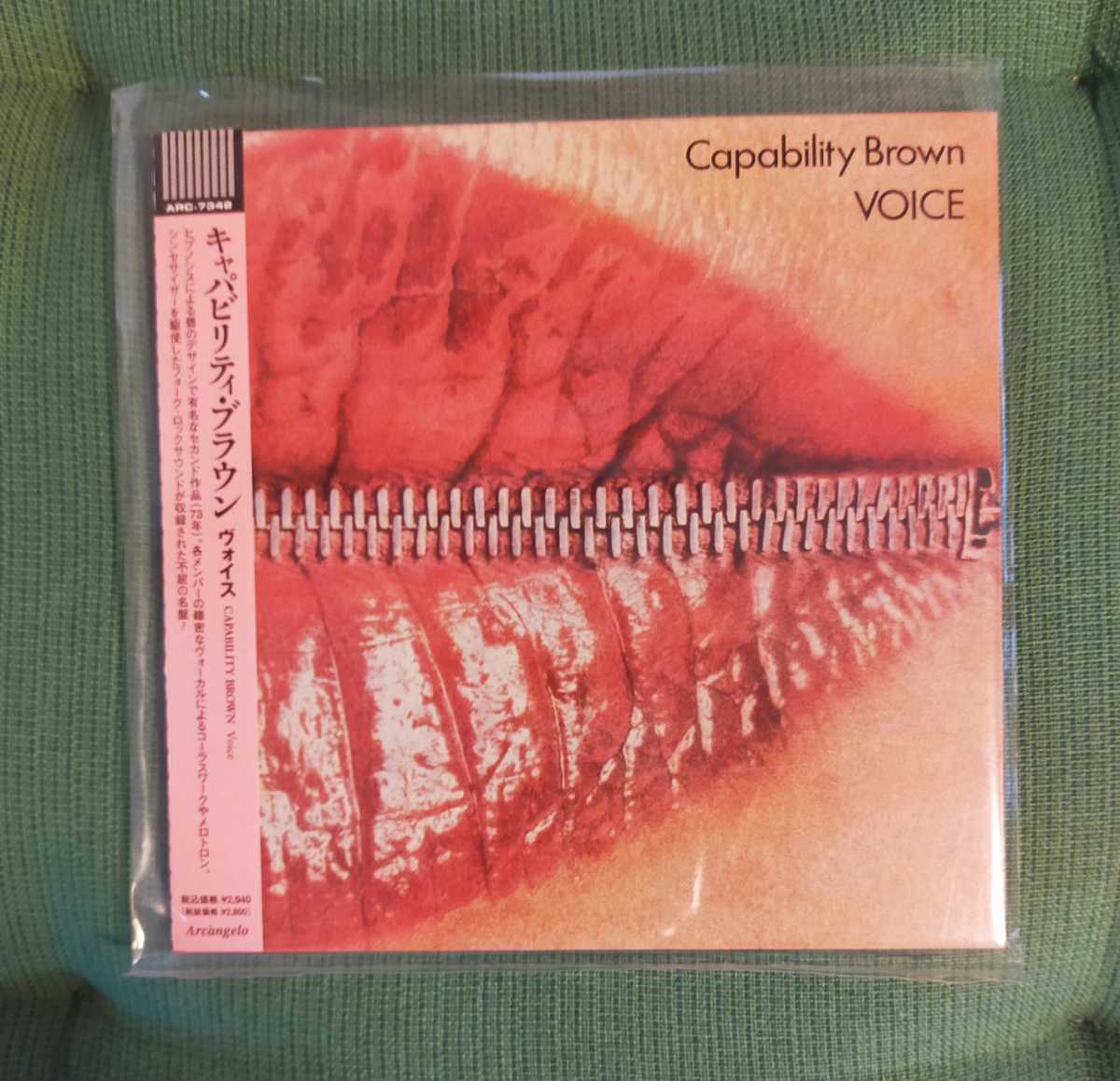 豊富な，正規品 廃盤紙ジャケ祭り1円〜 キャパビリティ ブラウン / Voice(一般)｜売買されたオークション情報、yahooの商品情報をアーカイブ公開 - オークファン 一般