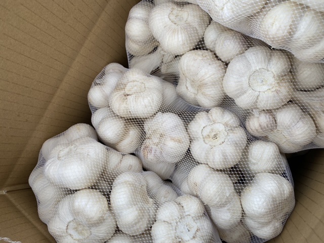 青森県にんにく5Kg 2L 青森県にんにく5Kg 2L 新物 青森県にんにく 青森
